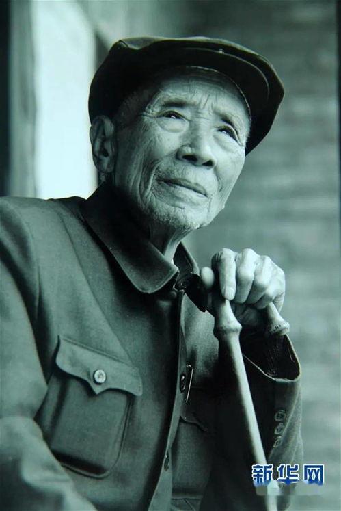 杨善洲照片,扎根边疆的造林英雄