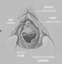 处钕膜图片,新型材料的光电特性与应用前景