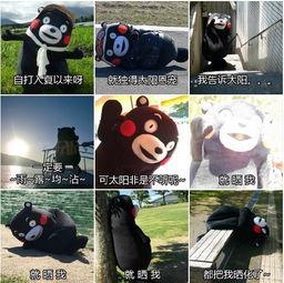 下载跑男表情包